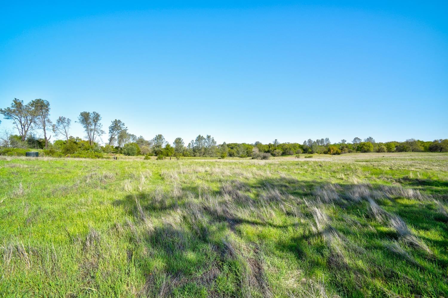 Deer Valley Road, Rescue, California image 46