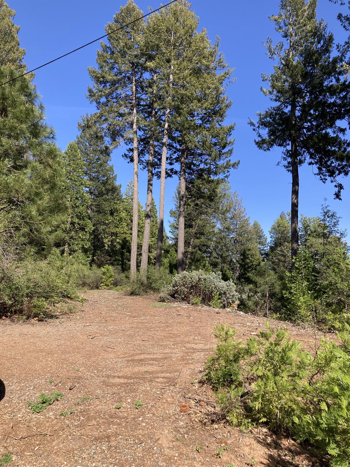 Sugar Pine Road, Alta, California image 3