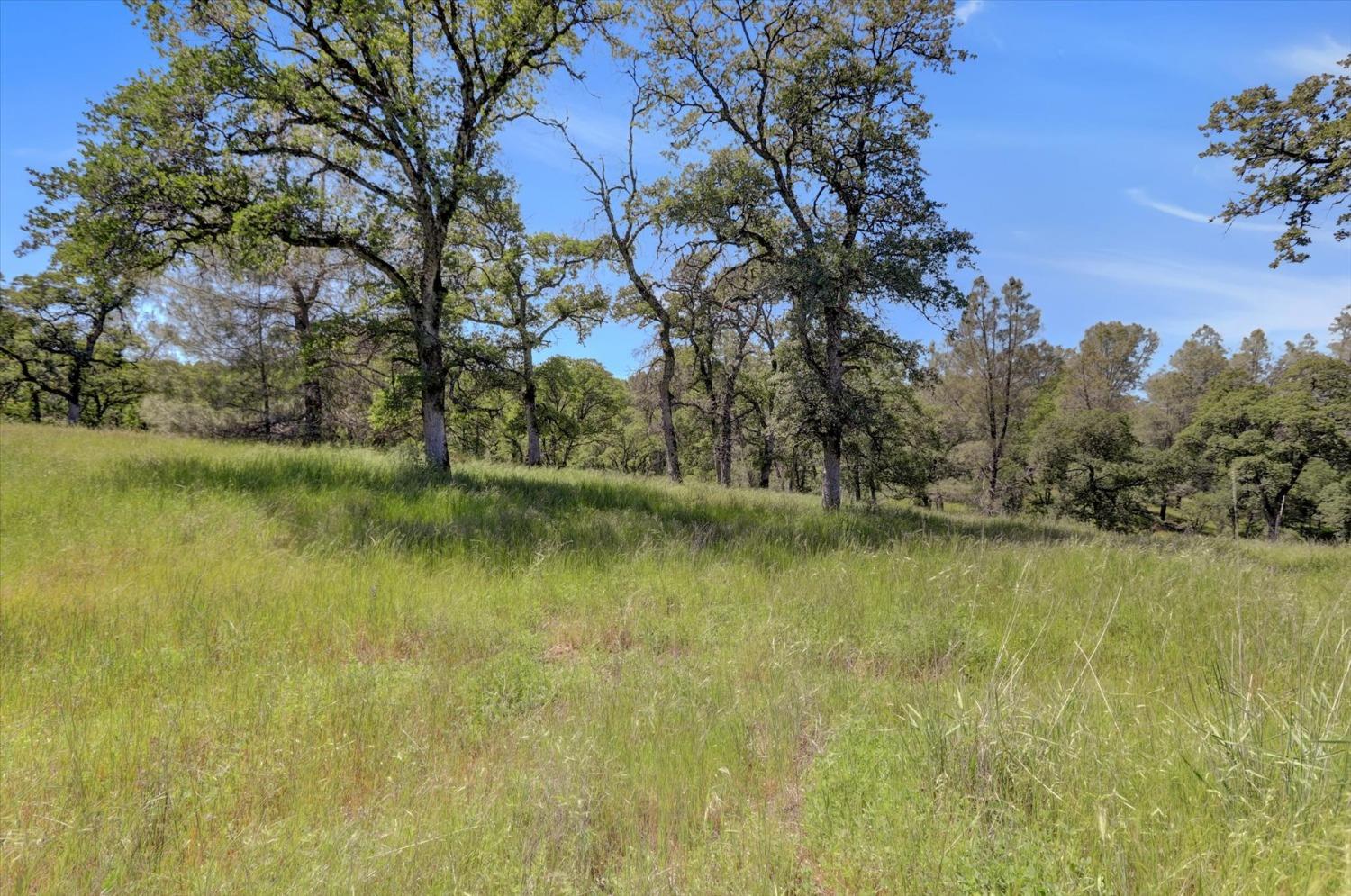 Retherford Road, Grass Valley, California image 44