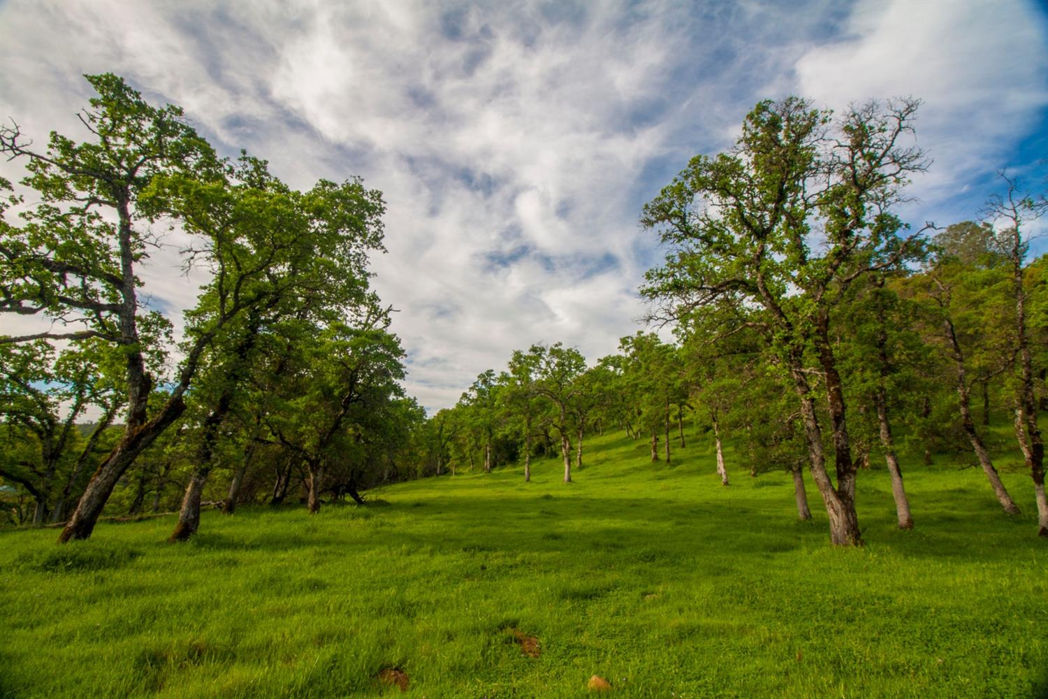 Ranch Dutch Flat Trail, Smartsville, California image 1
