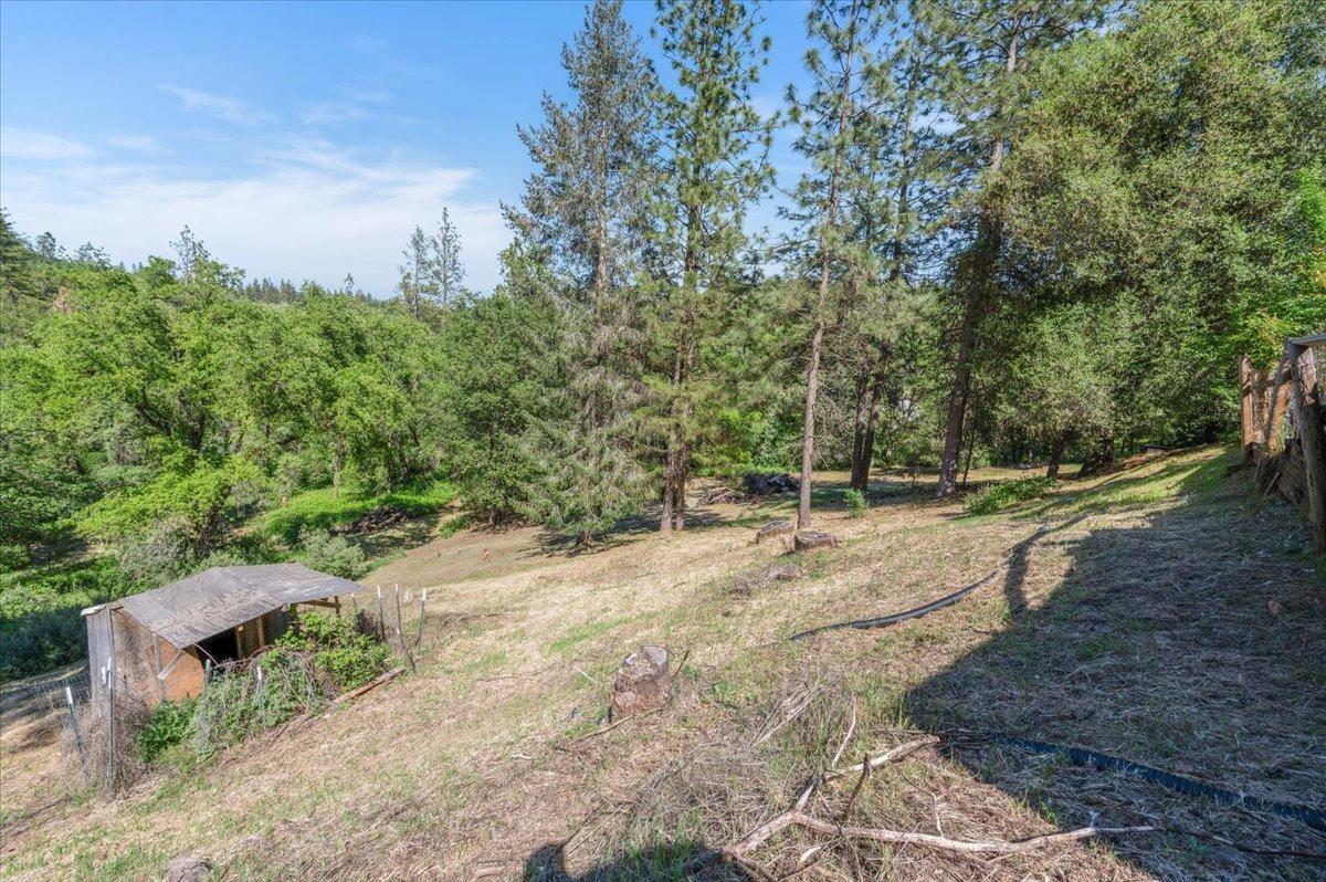 Pekolee Drive, Grass Valley, California image 39
