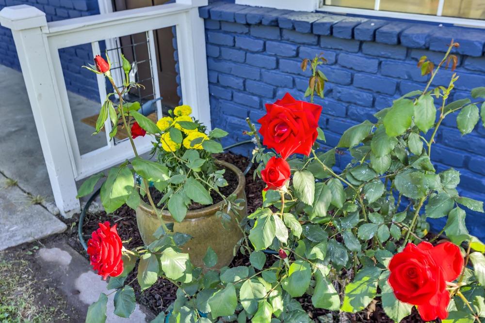 Mayfair Drive, Sacramento, California image 5
