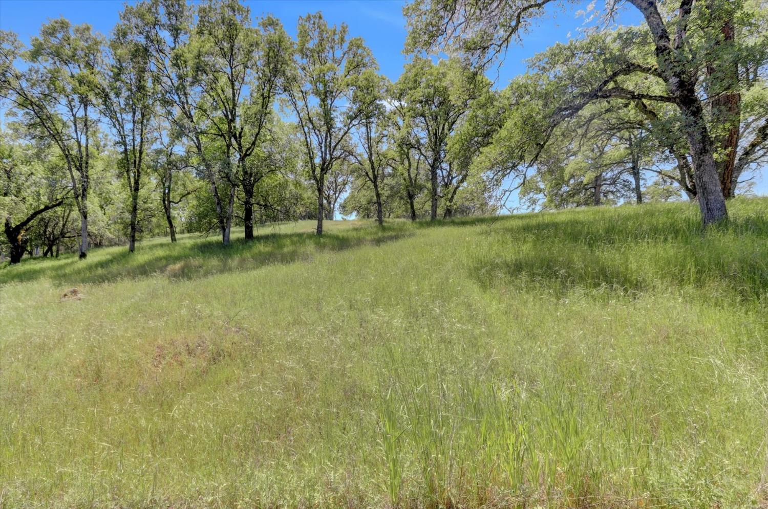 Retherford Road, Grass Valley, California image 41