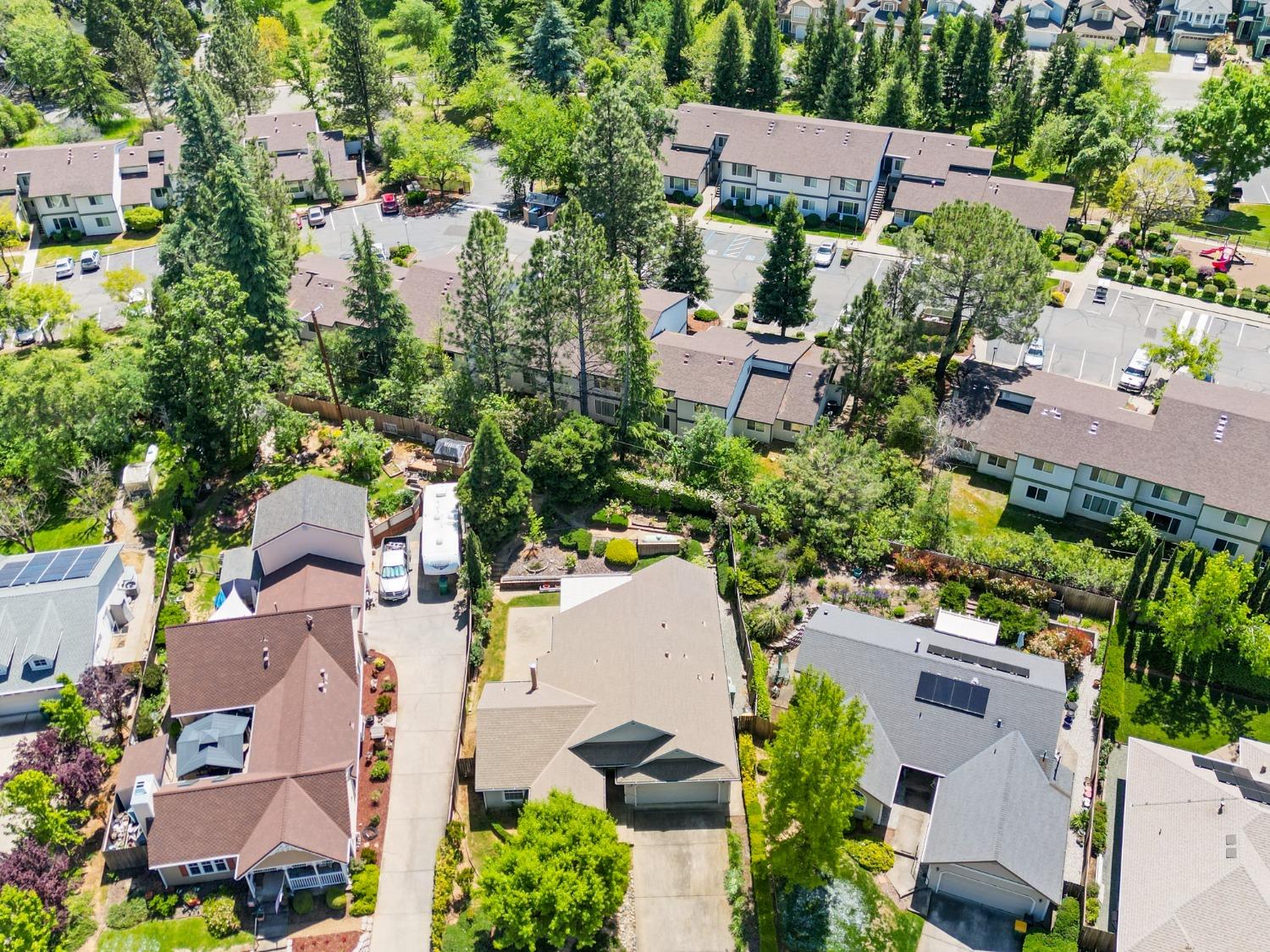 Carla Drive, Placerville, California image 42
