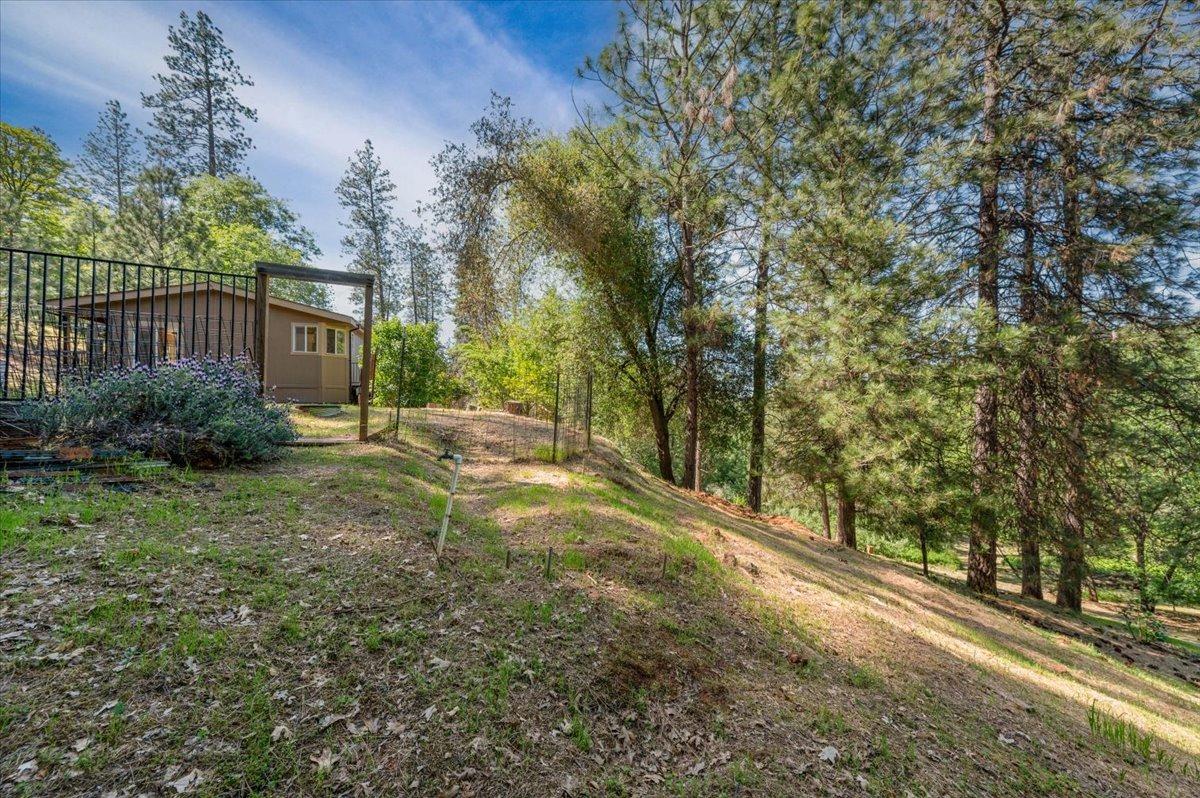 Pekolee Drive, Grass Valley, California image 37