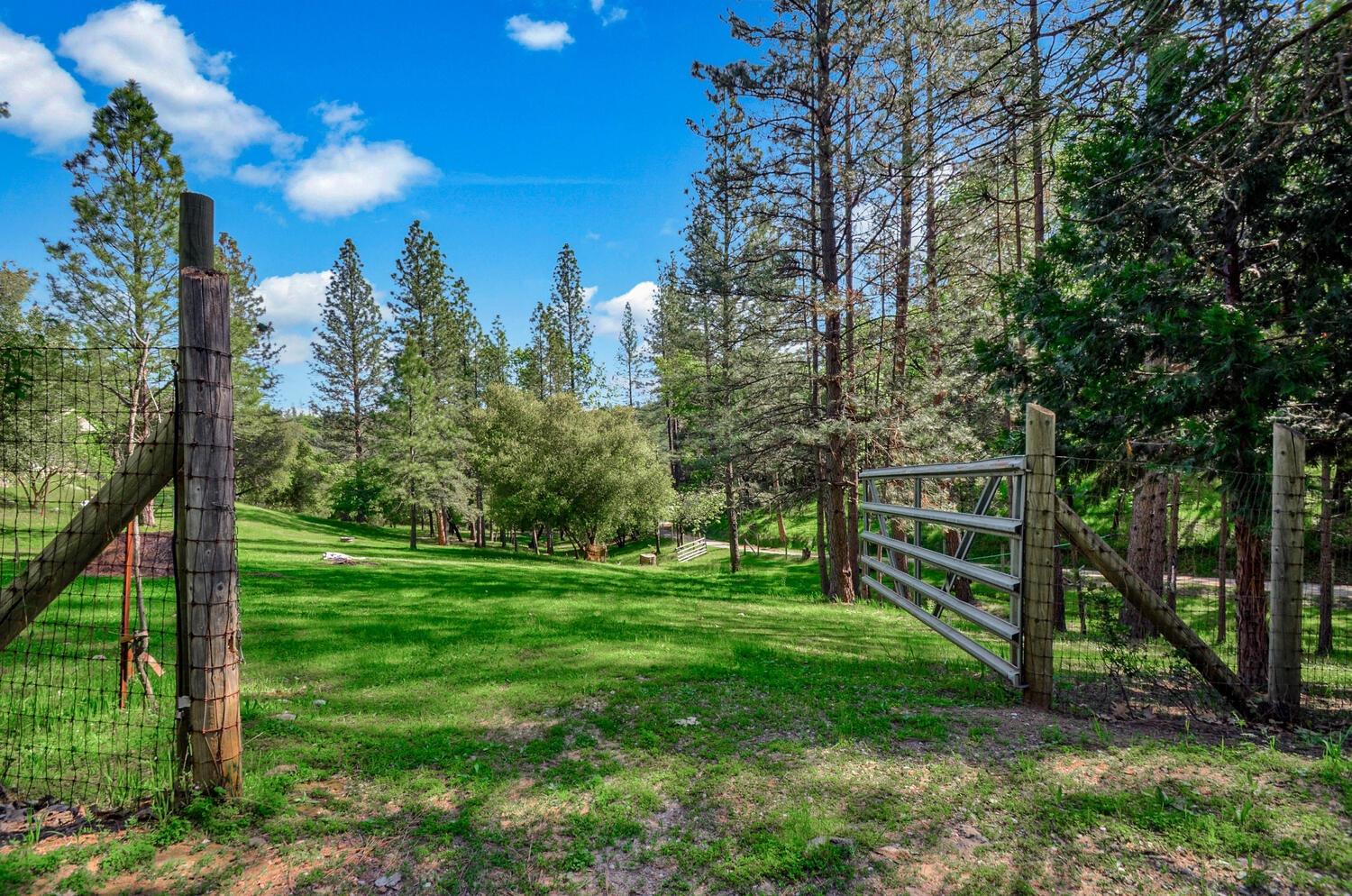 Meadow Road, Sutter Creek, California image 3