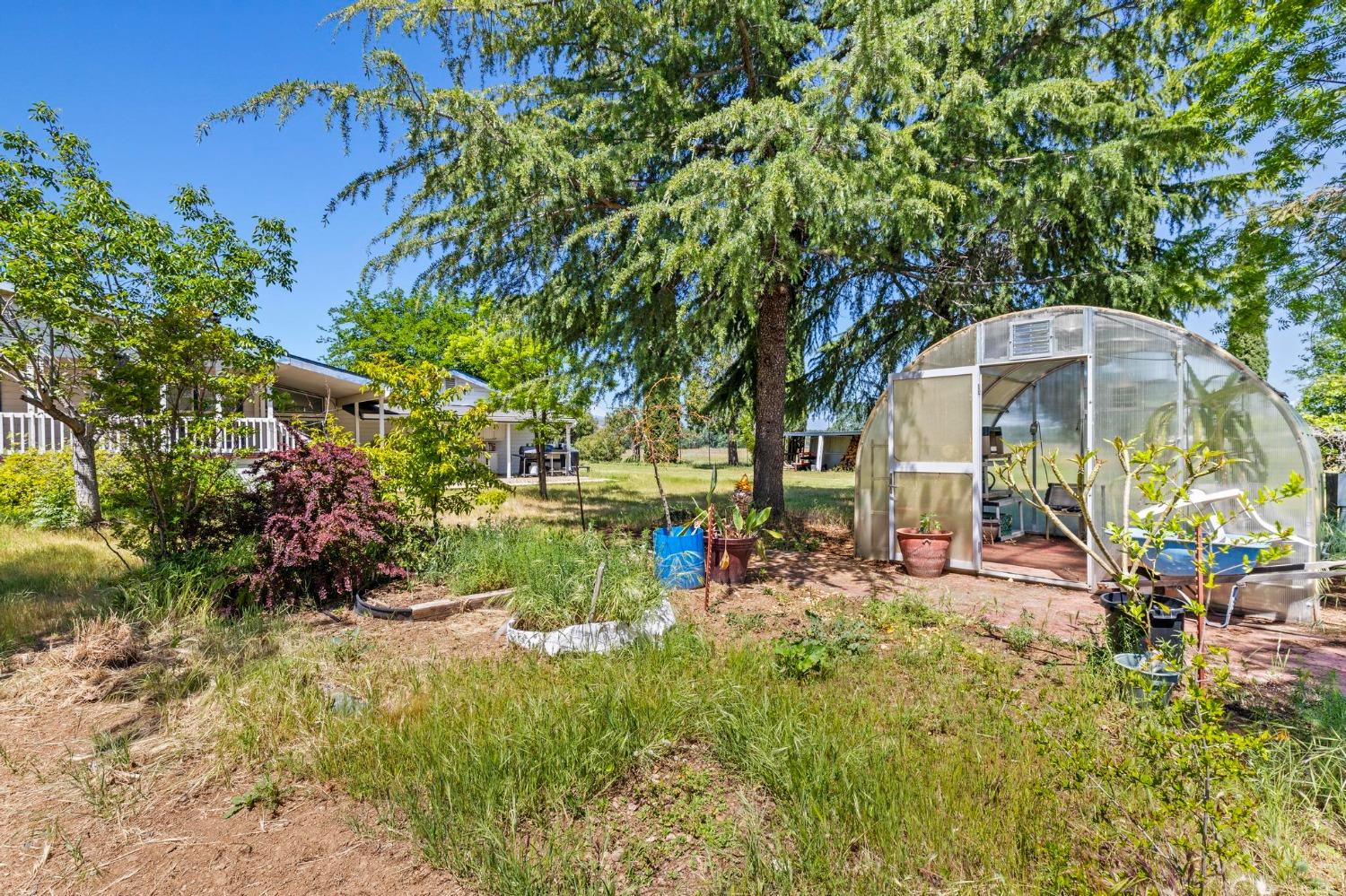 Detail Gallery Image 52 of 64 For 2687 Lodoga Stonyford Rd, Stonyford,  CA 95979 - 3 Beds | 2/1 Baths
