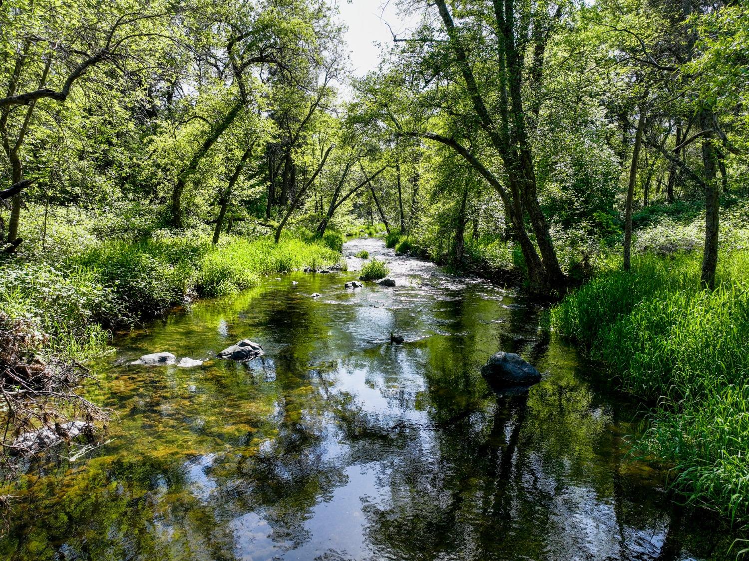 Tom Ray Dr, Grass Valley, California image 37