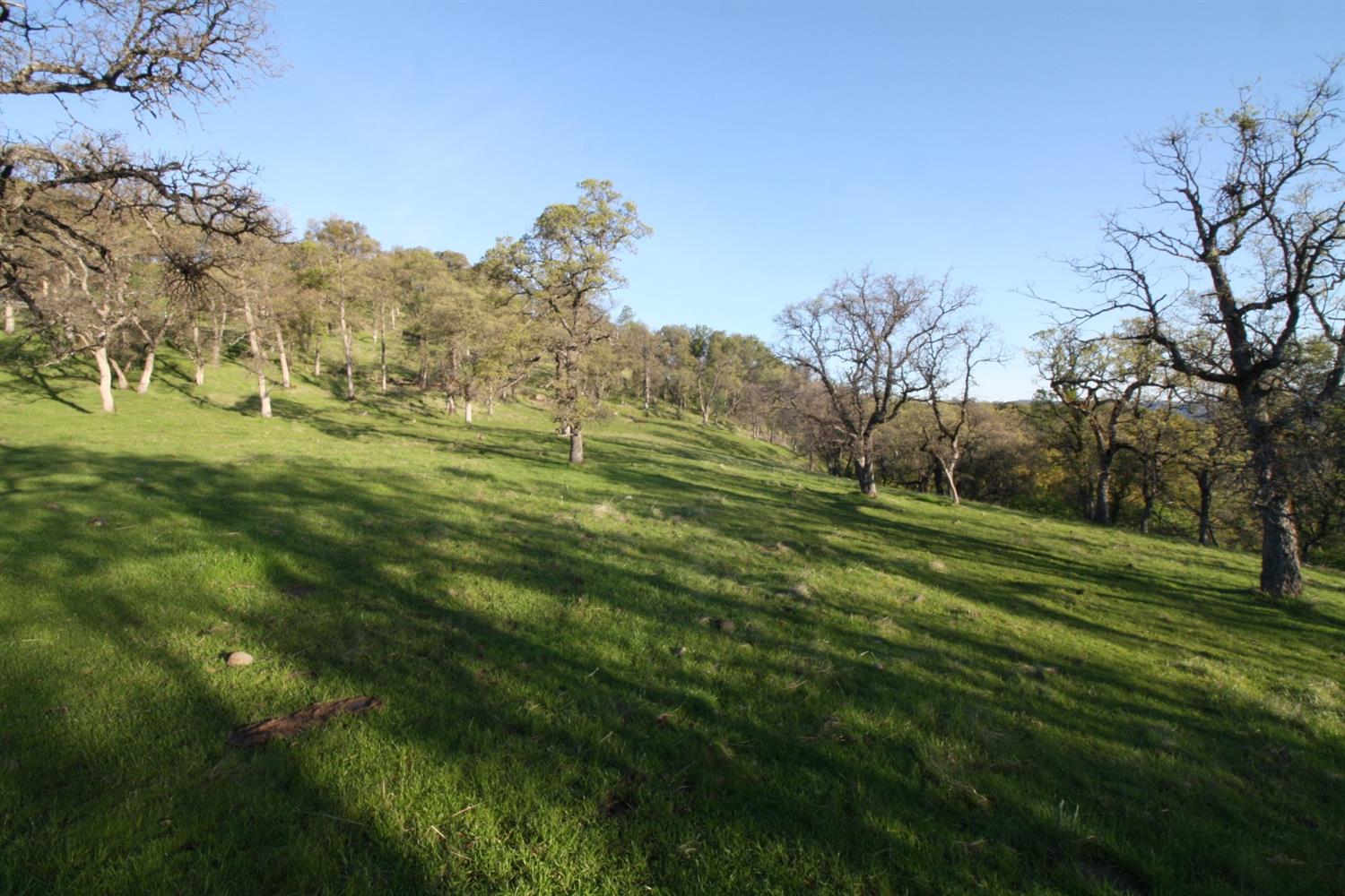 4 Ranch Dutch Flat Trail, Smartsville, California image 8