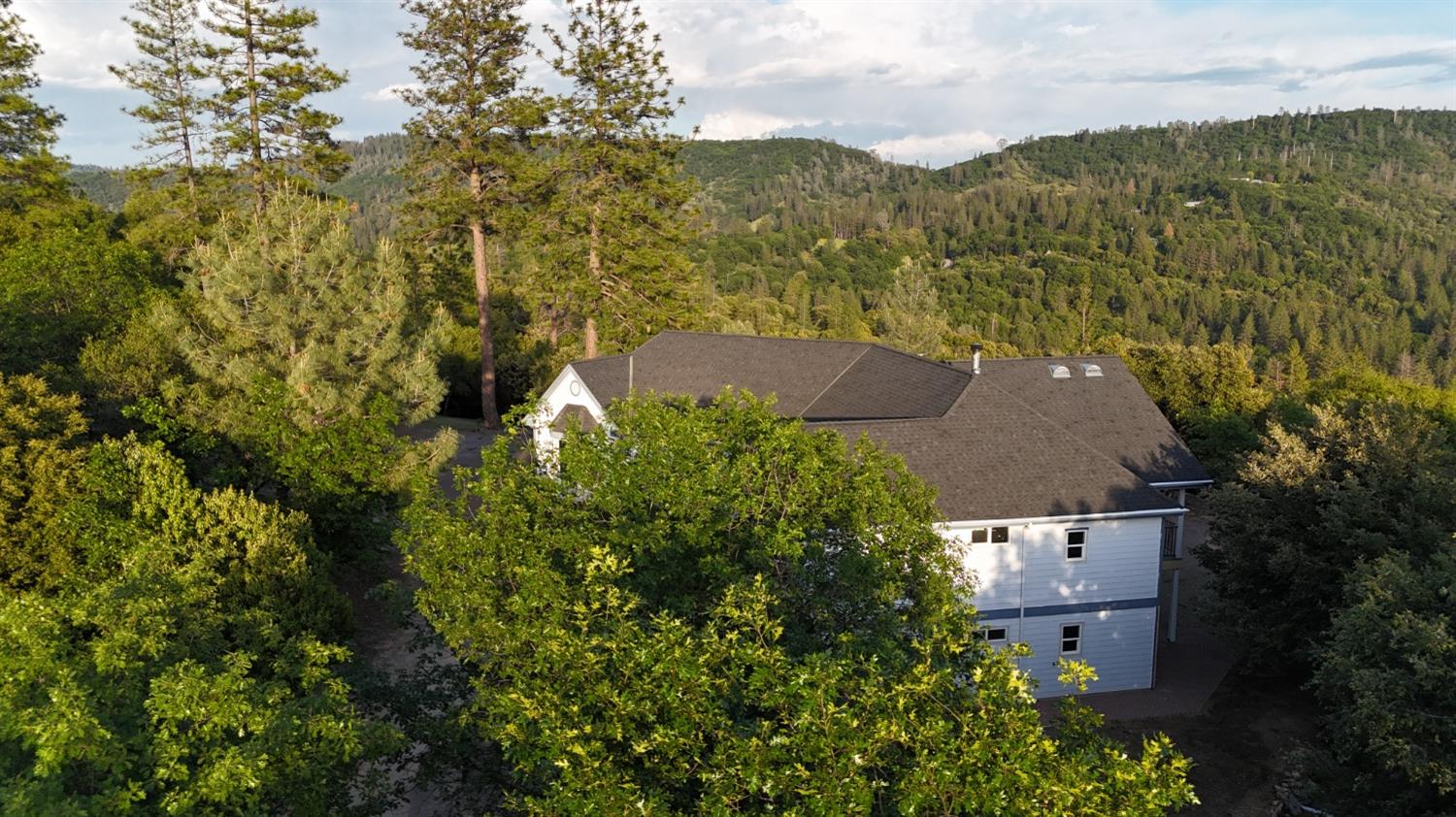 Birchville Road, Nevada City, California image 33