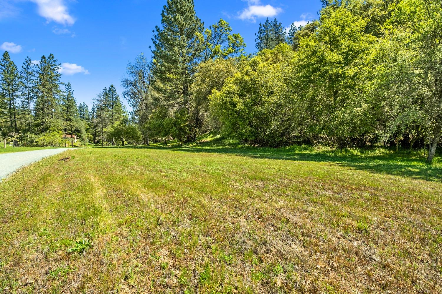 Detail Gallery Image 69 of 79 For 16080 Mount Whitney Dr, Fiddletown,  CA 95629 - 3 Beds | 2 Baths