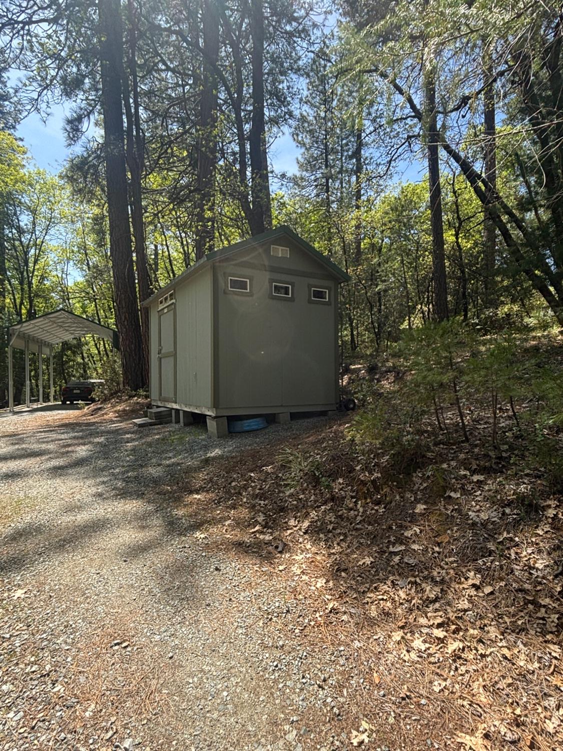 Blue Tent School Road, Nevada City, California image 10