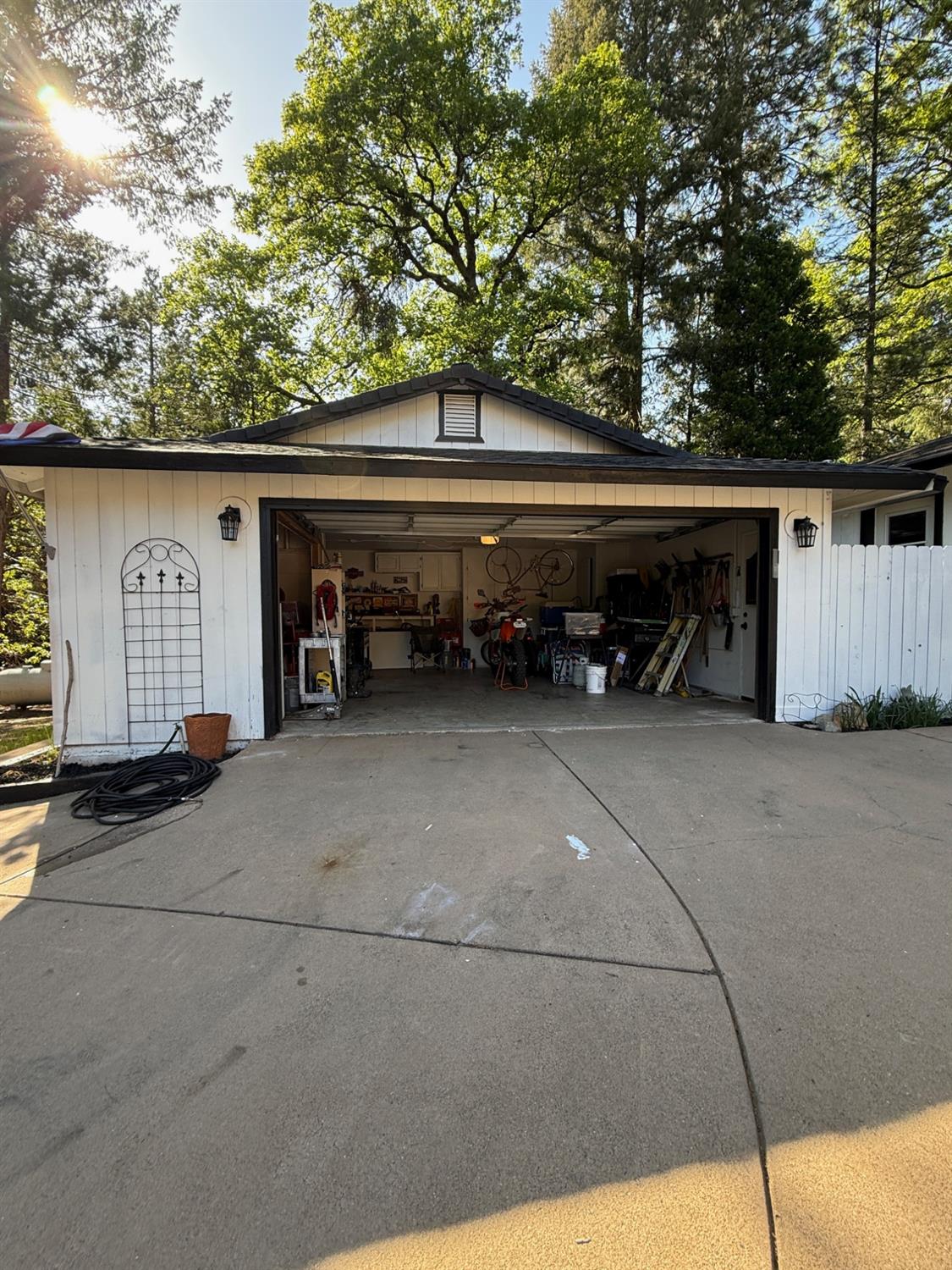 Daisy Circle, Pollock Pines, California image 27