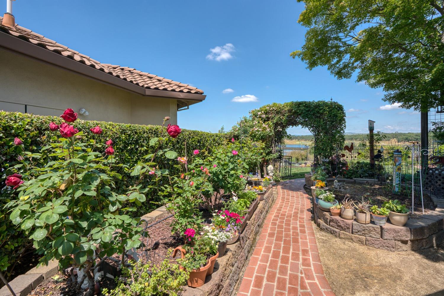 Puerto 1929, Rancho Murieta, California image 39