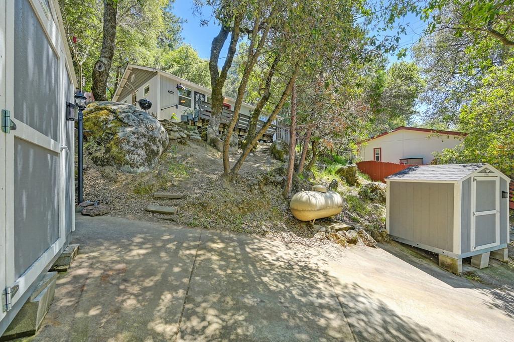 Pigeon Trail, River Pines, California image 31