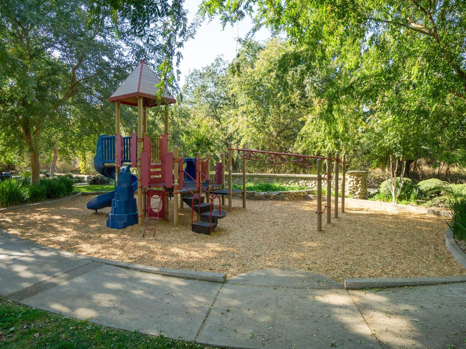 Smith Way, Folsom, California image 40