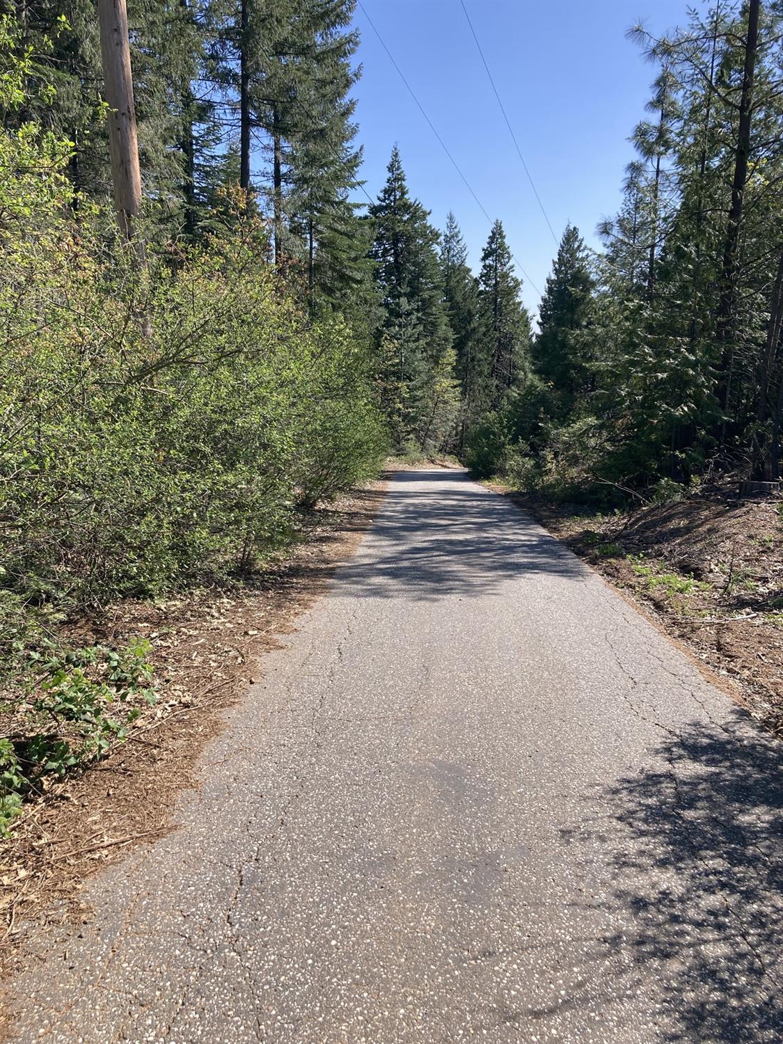 Sugar Pine Road, Alta, California image 4