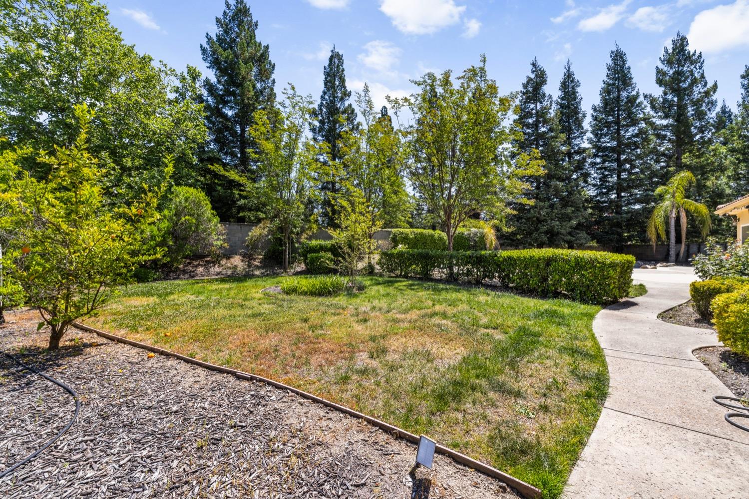 Cedar Ridge Drive, Granite Bay, California image 40