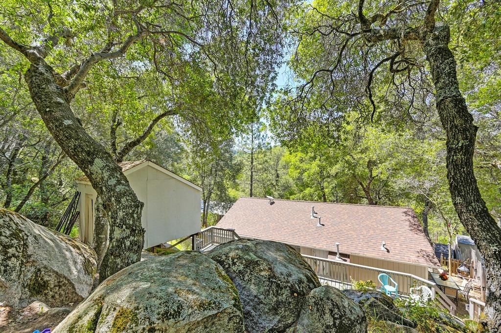 Pigeon Trail, River Pines, California image 45