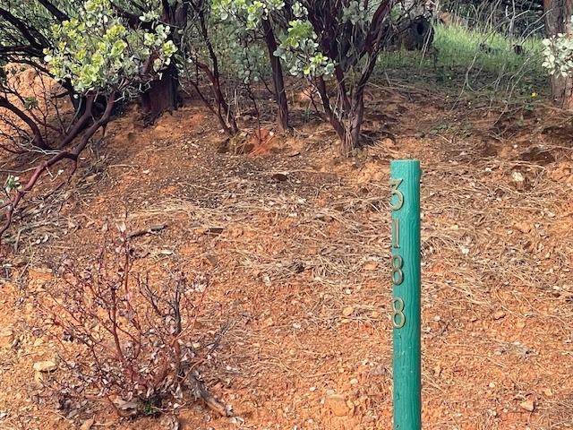 Detail Gallery Image 62 of 68 For 3188 One Eye Creek Rd, Placerville,  CA 95667 - 3 Beds | 2 Baths