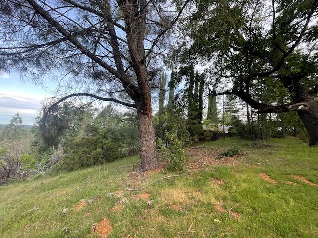Detail Gallery Image 41 of 68 For 3188 One Eye Creek Rd, Placerville,  CA 95667 - 3 Beds | 2 Baths