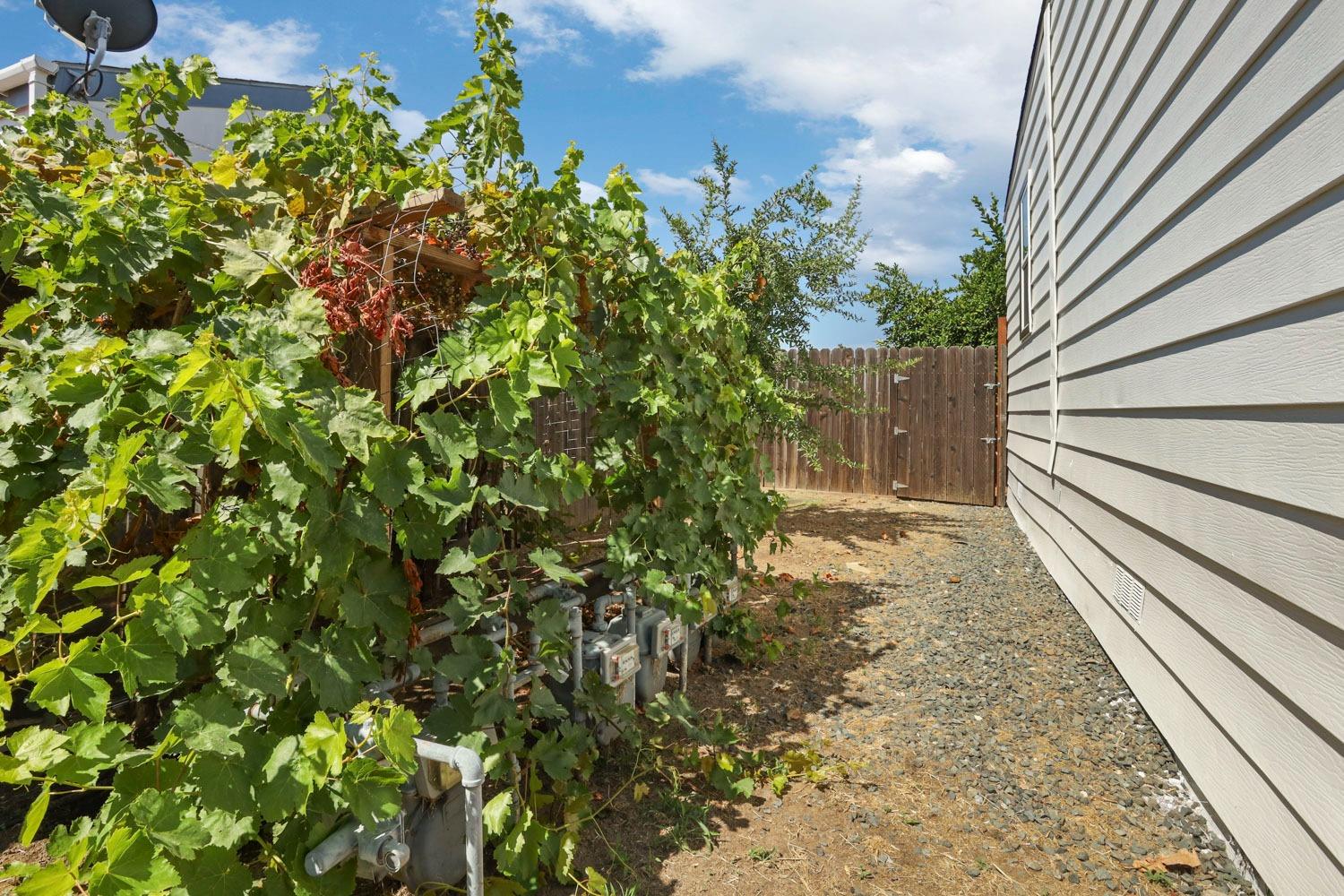 Detail Gallery Image 41 of 46 For 150 Pestana Ave 54, Manteca,  CA 95336 - 2 Beds | 2 Baths