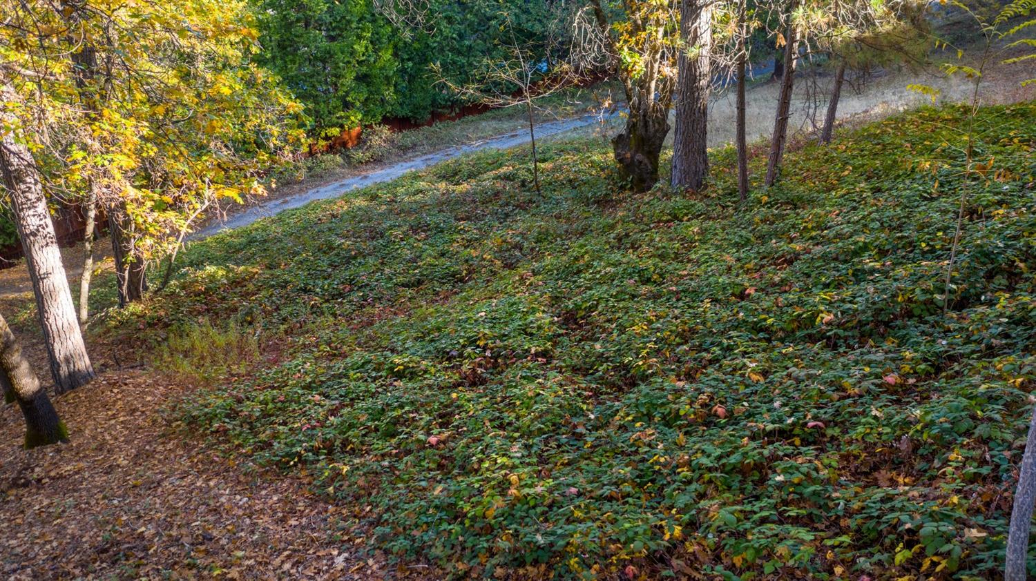 Sierra Blanca Court, Grass Valley, California image 11