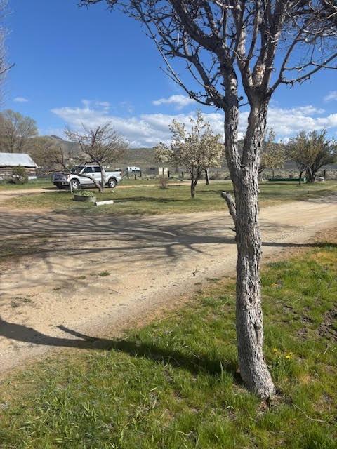 Chilcoot Avenue, Chilcoot, California image 15
