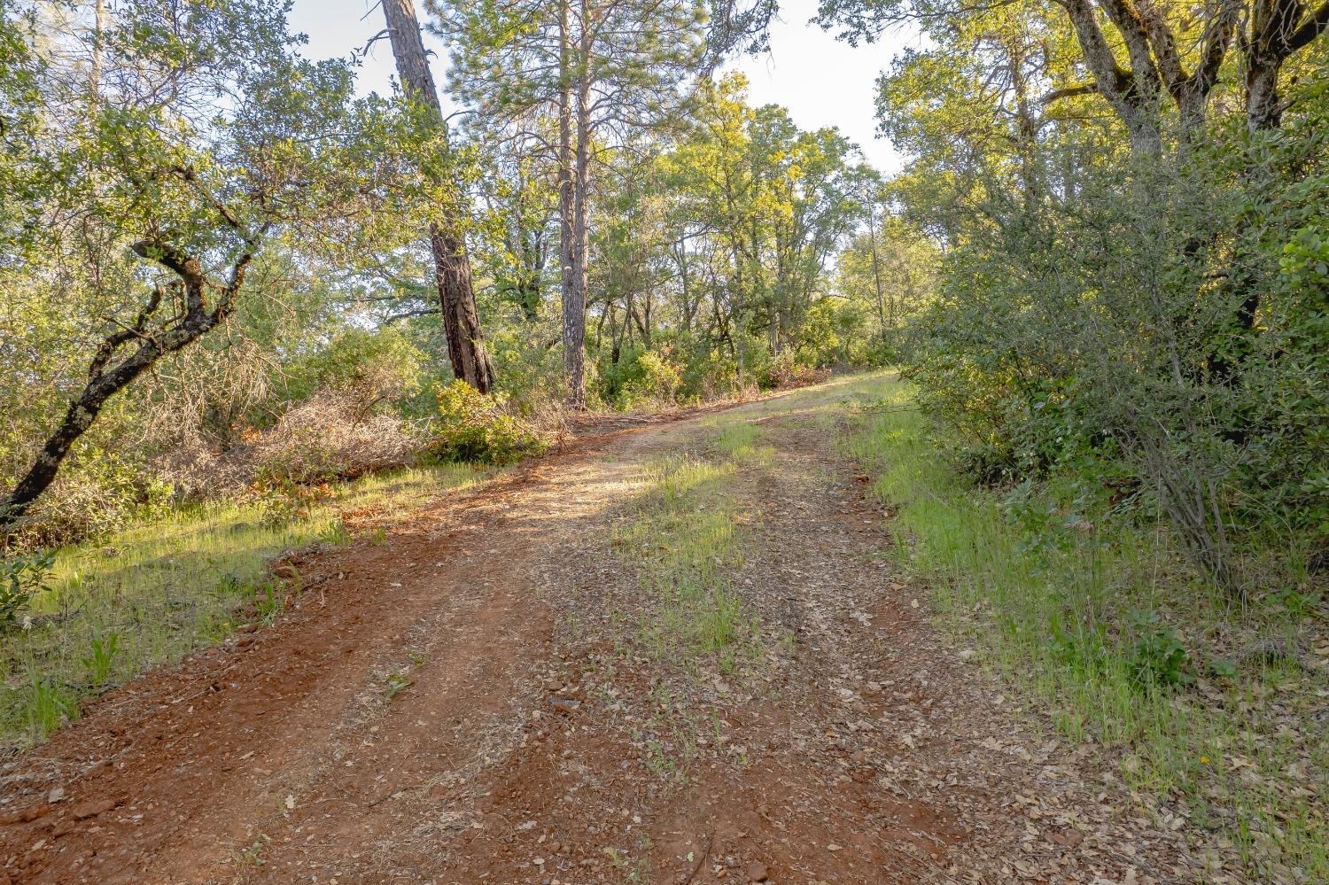 Vavassuer Way, Dobbins, California image 3