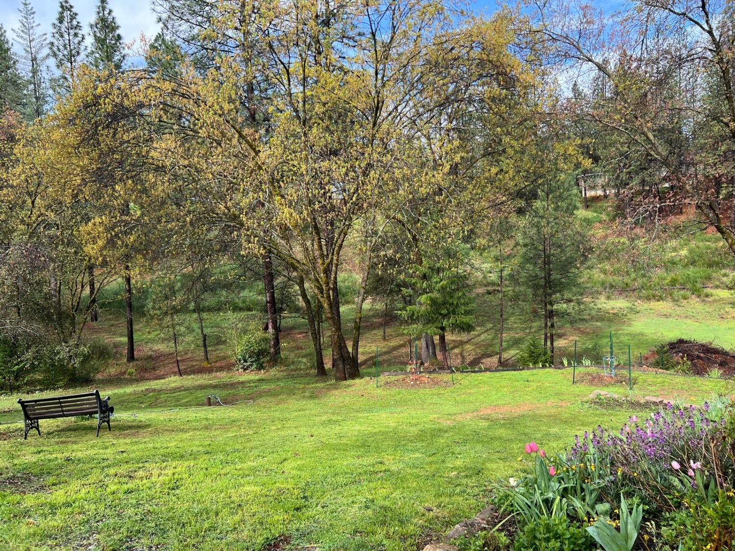 Detail Gallery Image 70 of 70 For 24275 Grand View Ave., Colfax,  CA 95713 - 5 Beds | 2 Baths