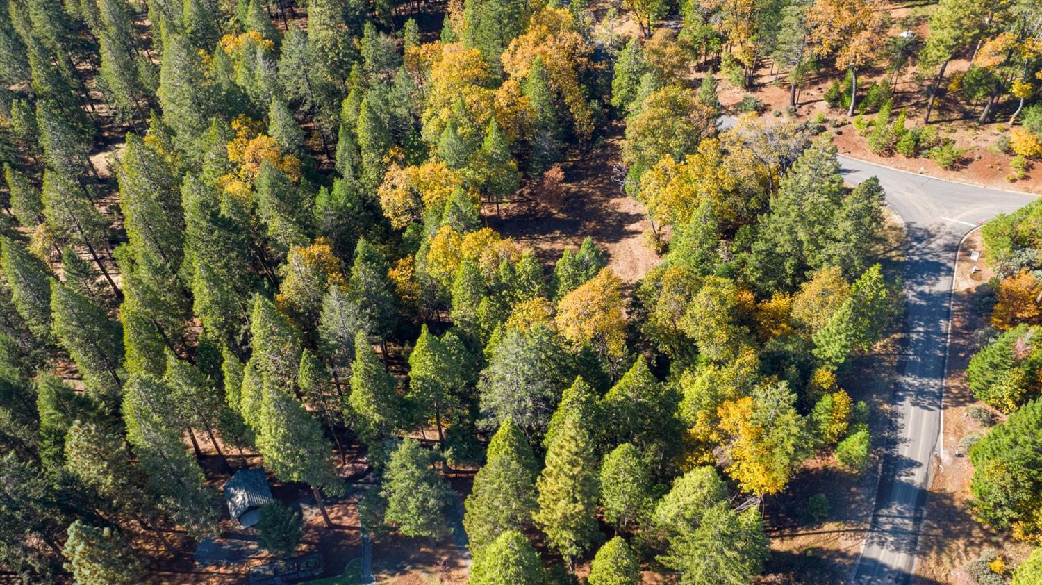 Gemini Court, Nevada City, California image 14