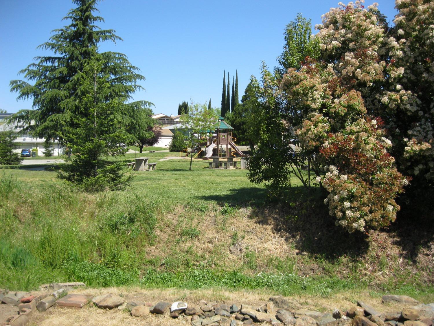 Oro Monte, Sutter Creek, California image 10