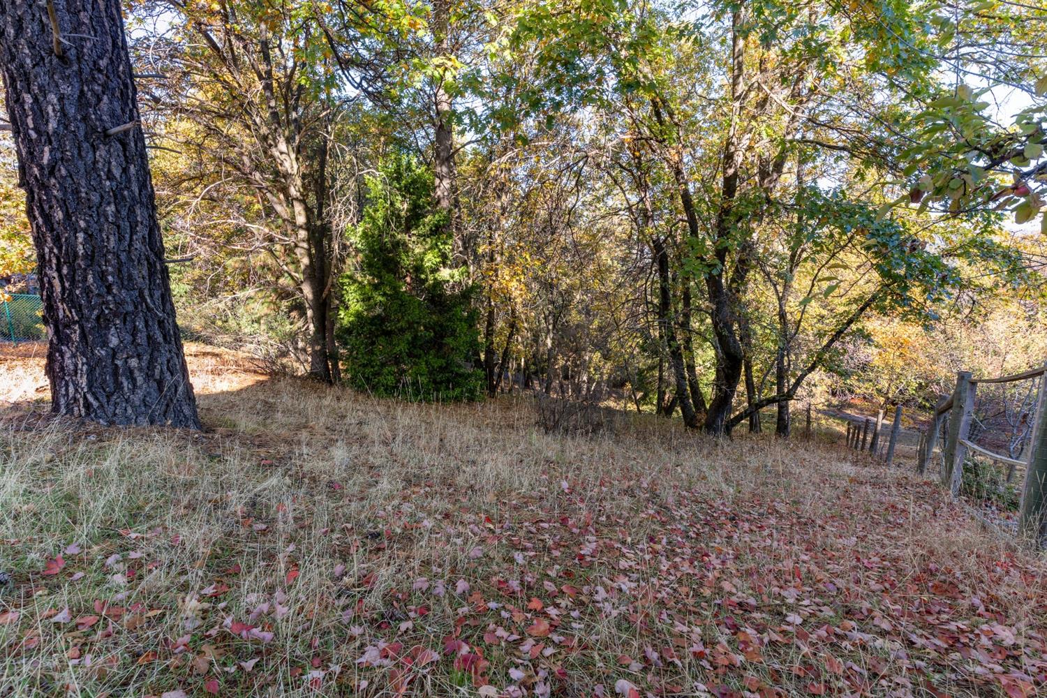 Sierra Blanca Court, Grass Valley, California image 18
