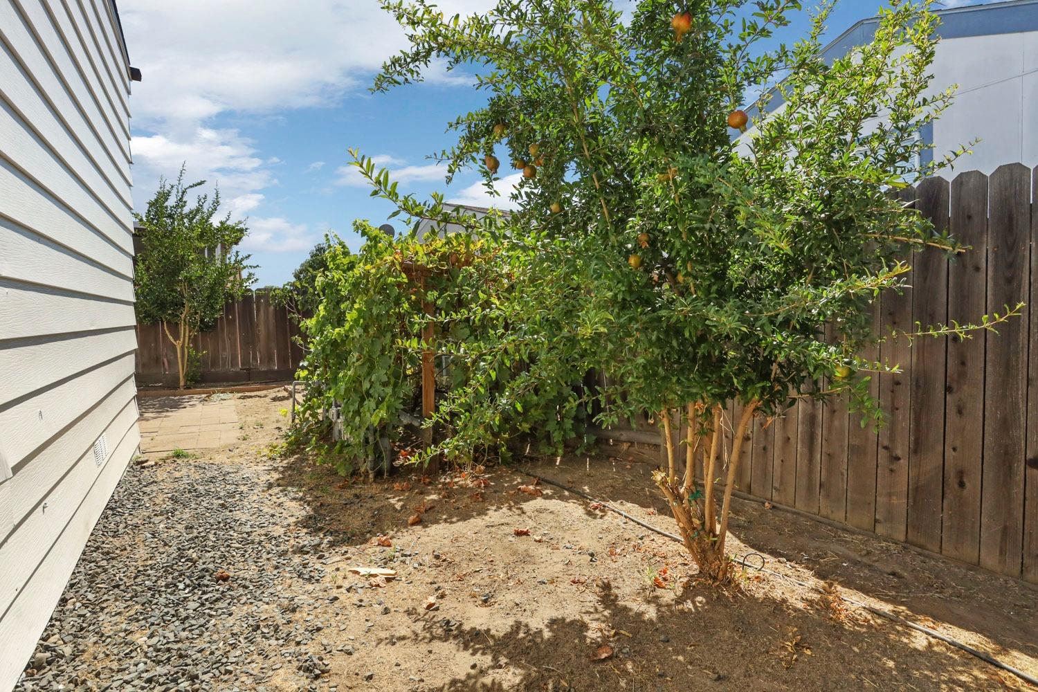 Detail Gallery Image 40 of 46 For 150 Pestana Ave 54, Manteca,  CA 95336 - 2 Beds | 2 Baths