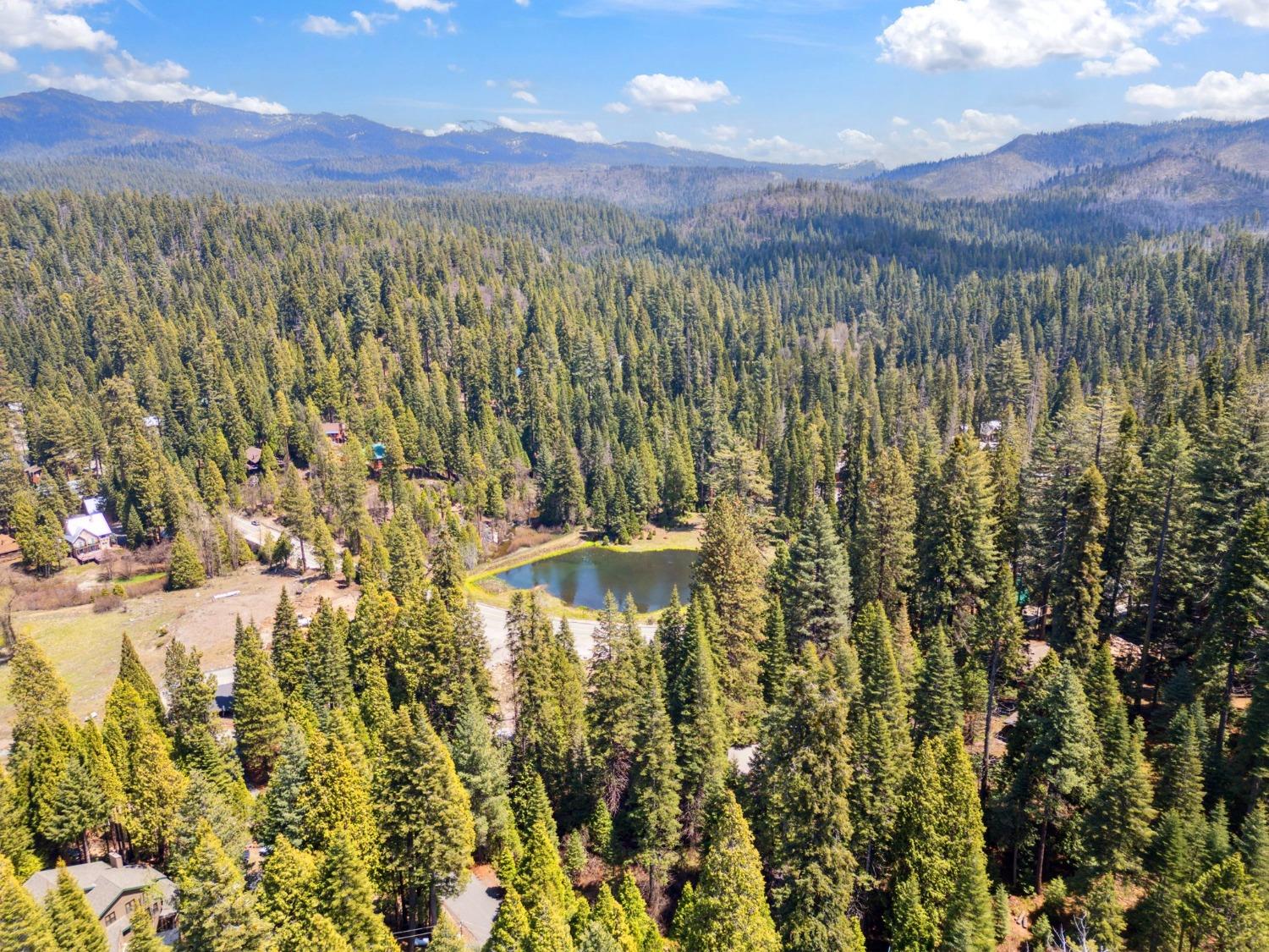Silver Tip, Fish Camp, California image 39