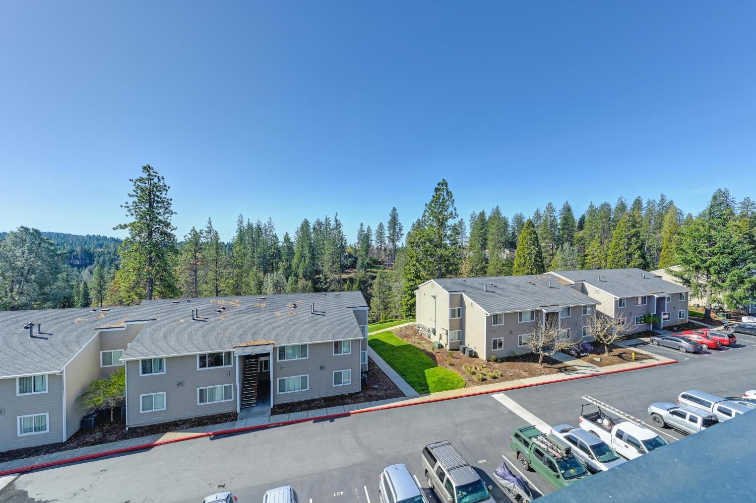 Mcnab, Grass Valley, California image 28