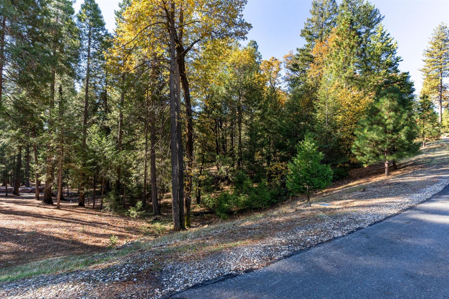 Gemini Court, Nevada City, California image 4