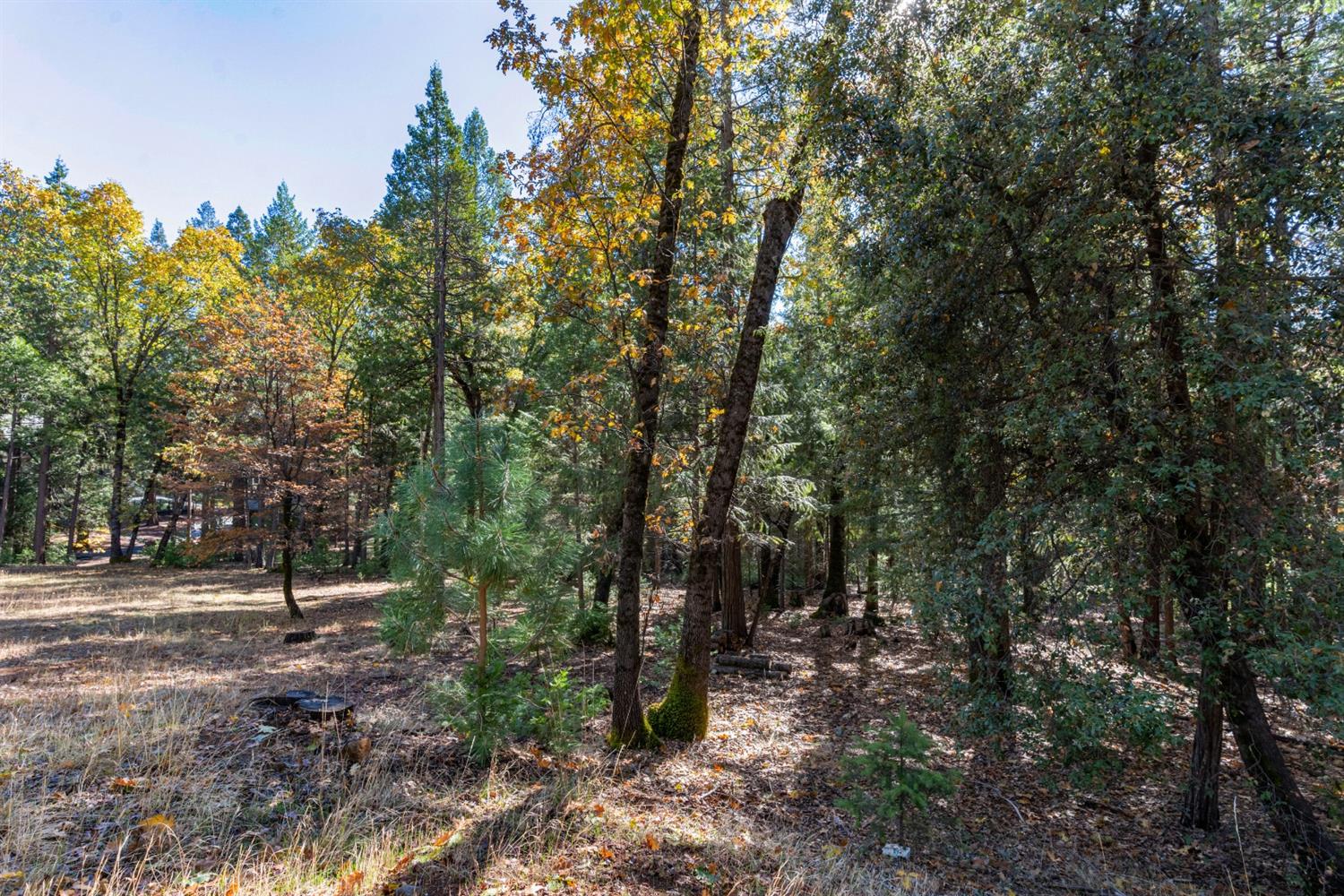 Gemini Court, Nevada City, California image 10