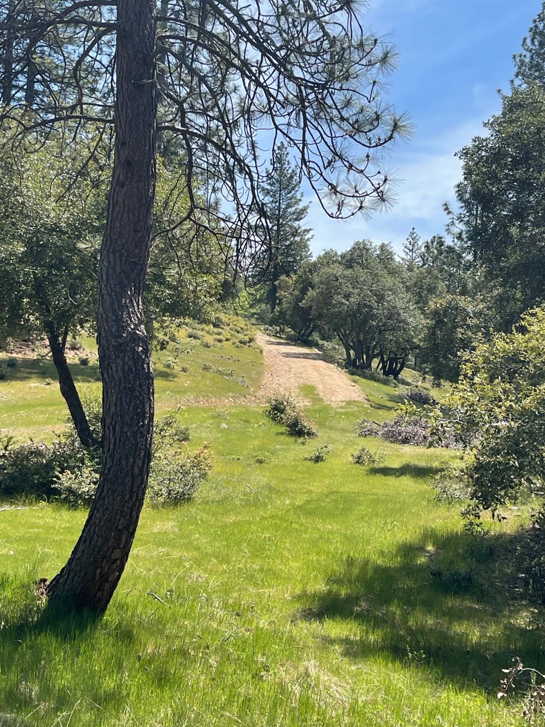 Fiak Hill Road, Coulterville, California image 1