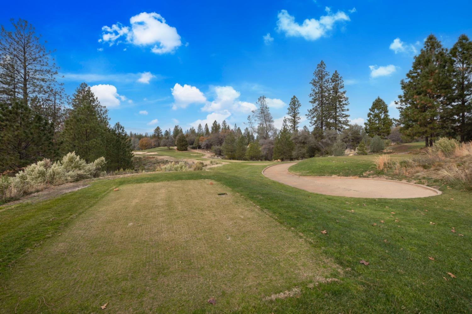 Detail Gallery Image 83 of 87 For 15090 Grand Knoll Dr, Meadow Vista,  CA 95722 - 4 Beds | 4/1 Baths