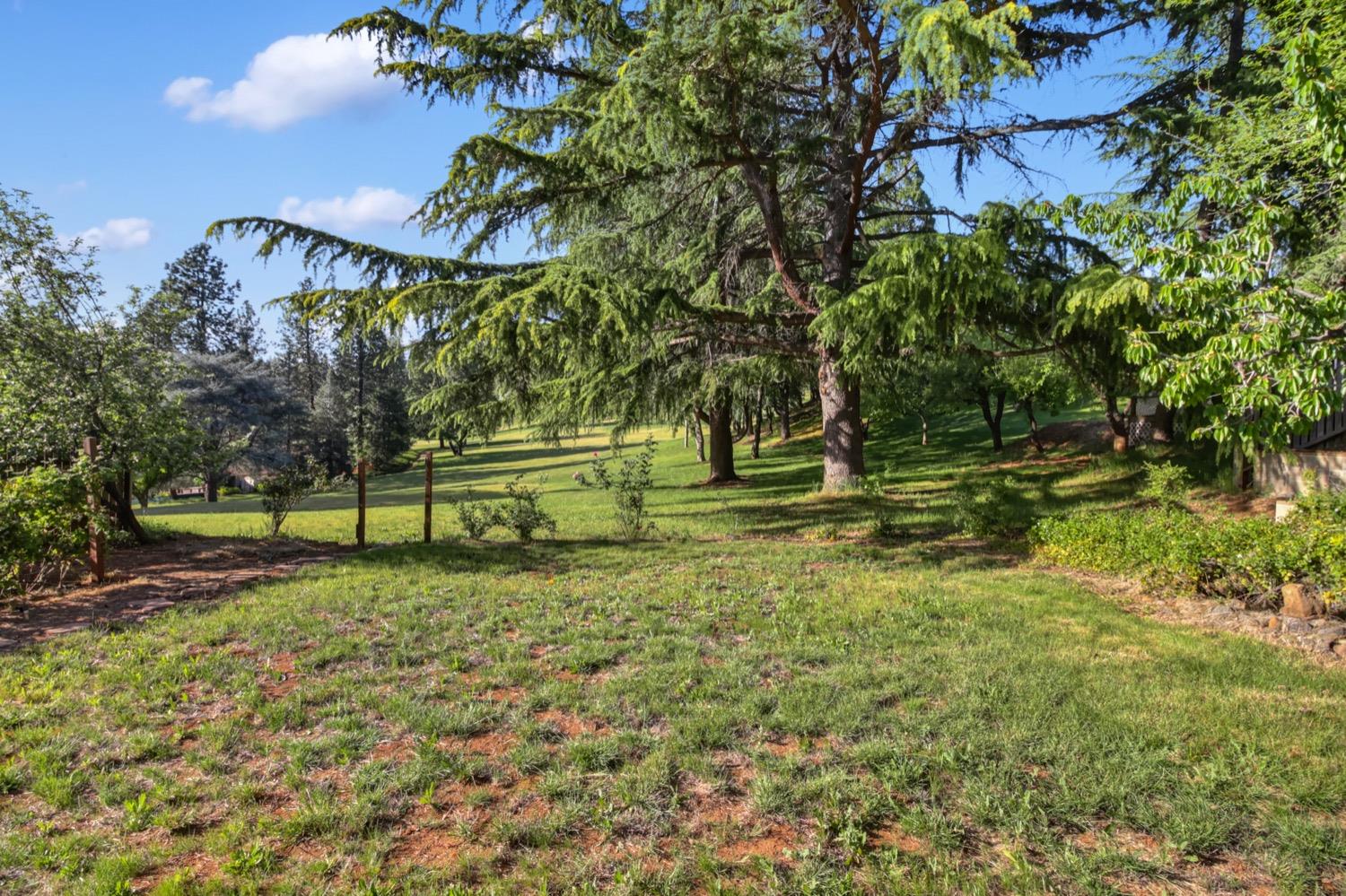 Camino Heights Drive, Camino, California image 33
