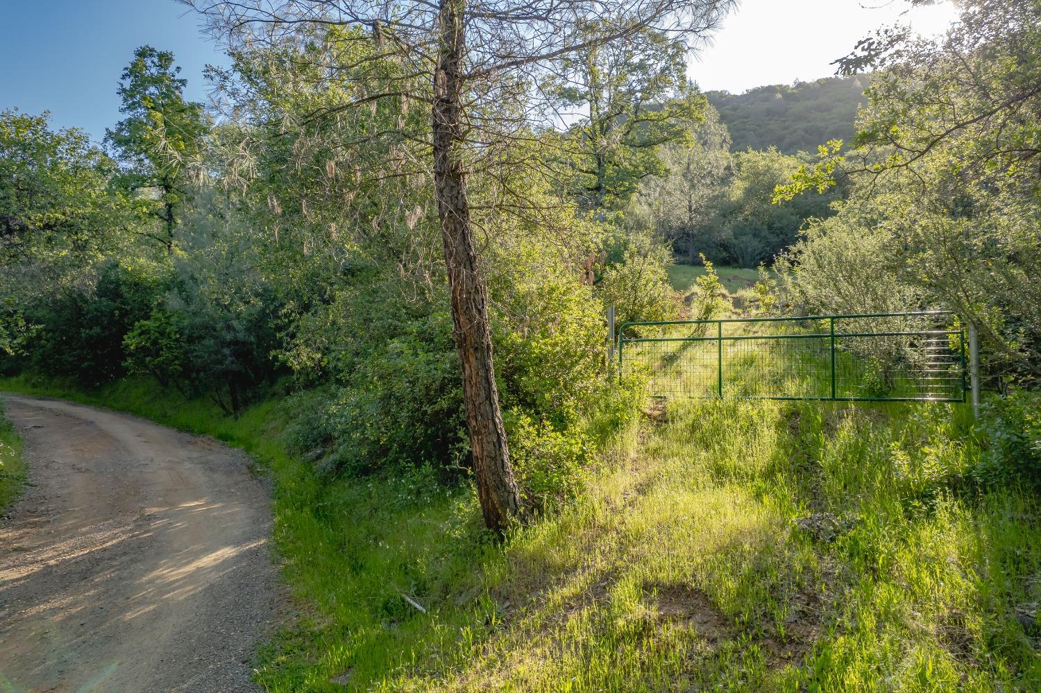 Vavassuer Way, Dobbins, California image 24