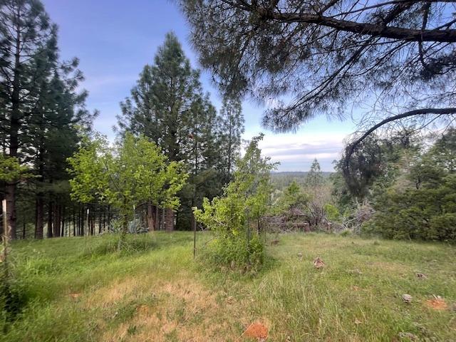 Detail Gallery Image 39 of 68 For 3188 One Eye Creek Rd, Placerville,  CA 95667 - 3 Beds | 2 Baths