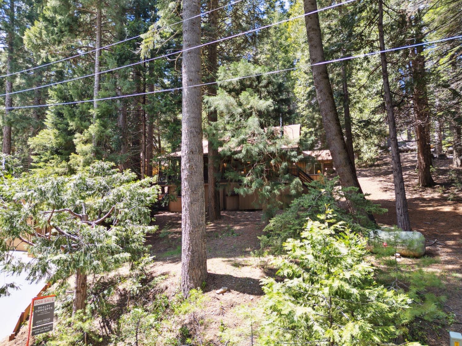 Silver Tip, Fish Camp, California image 37