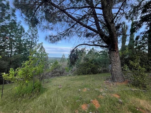 Detail Gallery Image 40 of 68 For 3188 One Eye Creek Rd, Placerville,  CA 95667 - 3 Beds | 2 Baths