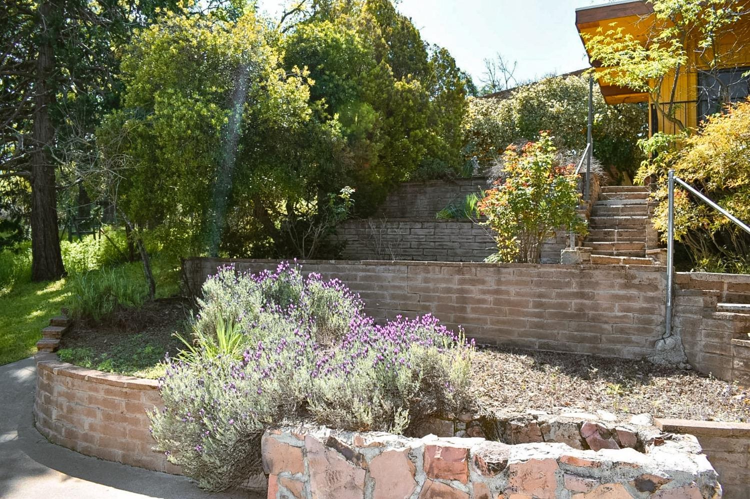 Detail Gallery Image 64 of 84 For 2587 Burns Rd, San Andreas,  CA 95249 - 3 Beds | 3 Baths