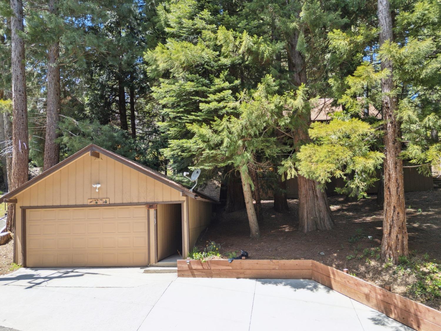 Silver Tip, Fish Camp, California image 38