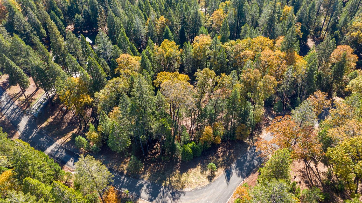 Gemini Court, Nevada City, California image 13