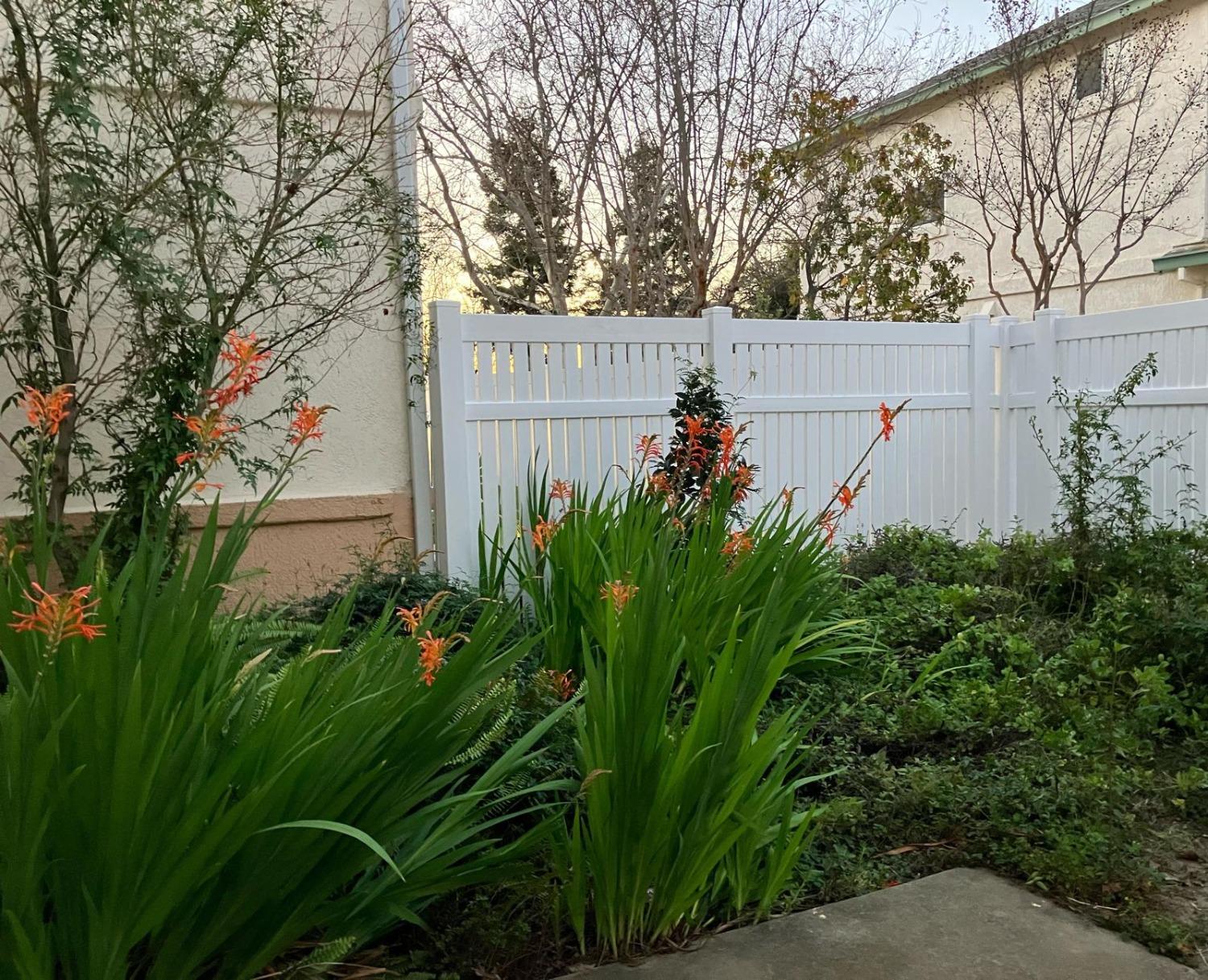 Greene Terrace, Davis, California image 10