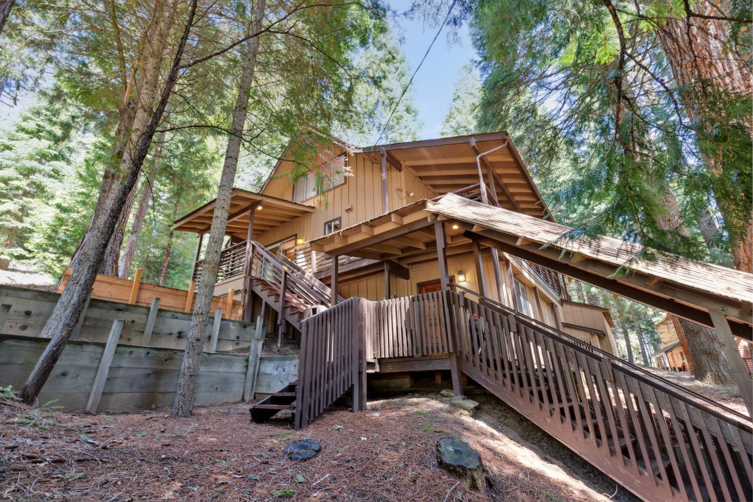 Silver Tip, Fish Camp, California image 11